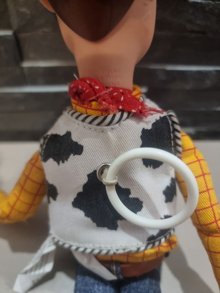 Woody - photo numéro 5