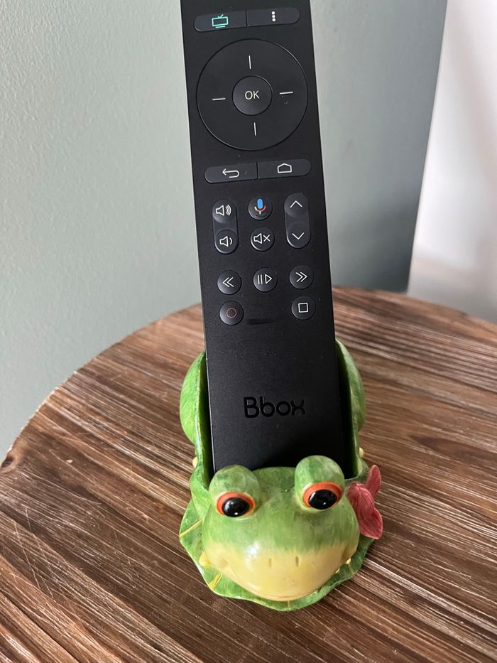 Grenouille 🐸 - photo numéro 7