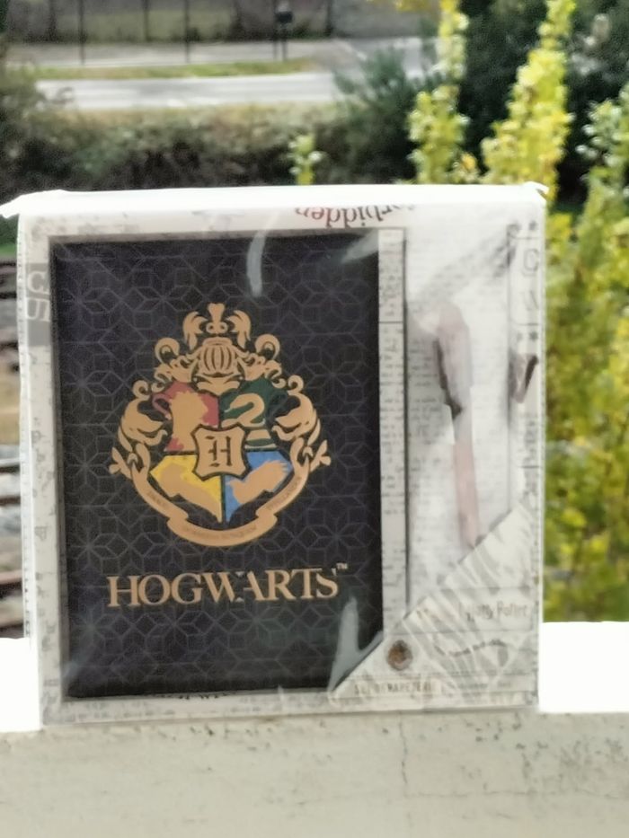 Harry Potter le carnet secret