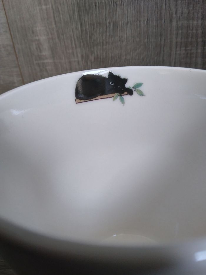 Tasse chat neuf - photo numéro 9