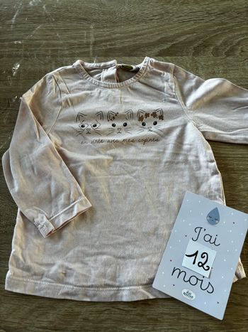 Tee shirt chats TAPE A L’œil t.12m