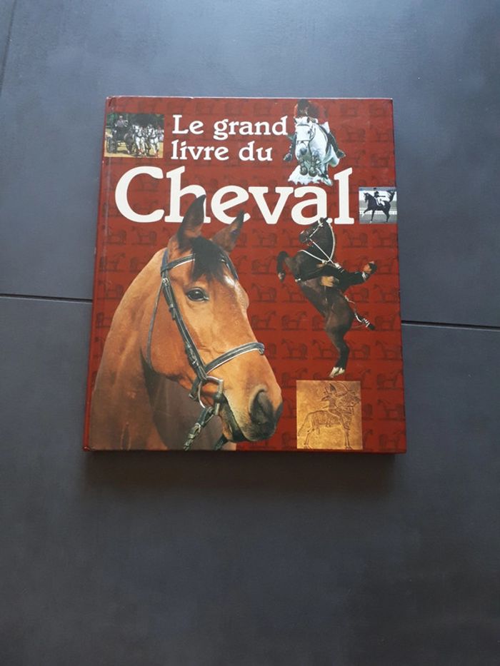 Très beau livre le grand livre des chevaux