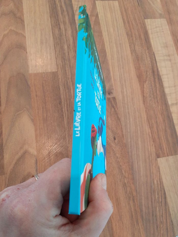 Le lièvre et la tortue - photo numéro 2