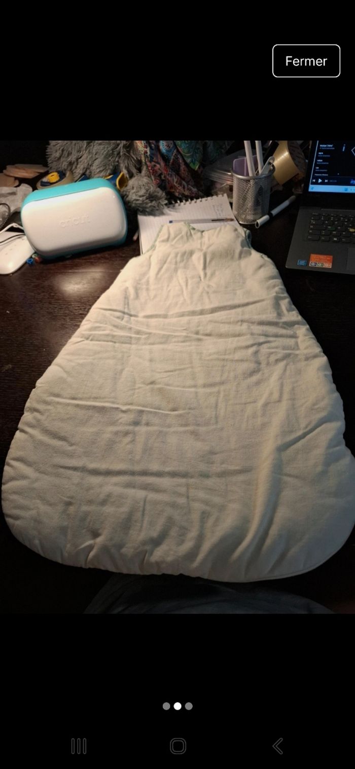 Gigoteuses - photo numéro 2