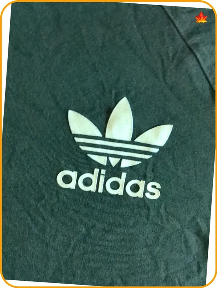 Tshirt adidas homme California - photo numéro 2