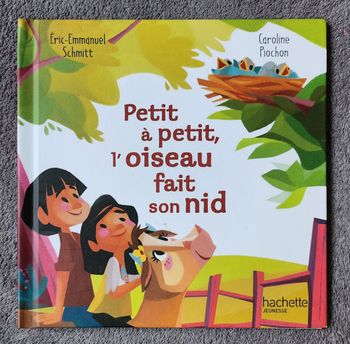 Roman Jeunesse "Petit à petit, l'Oiseau fait son nid" - Coll. Un Jour Un Dicton (4-6 ans) / Hachette