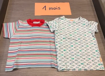 Lot 2 T-shirts manches courtes 1 mois