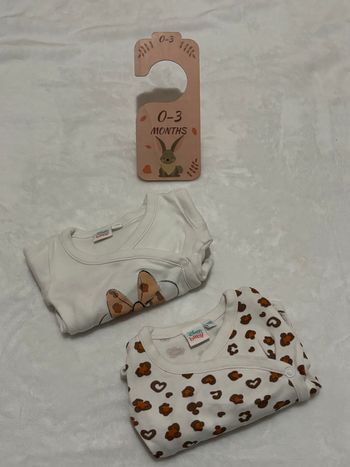 Lot de 2 bodies bébé Disney