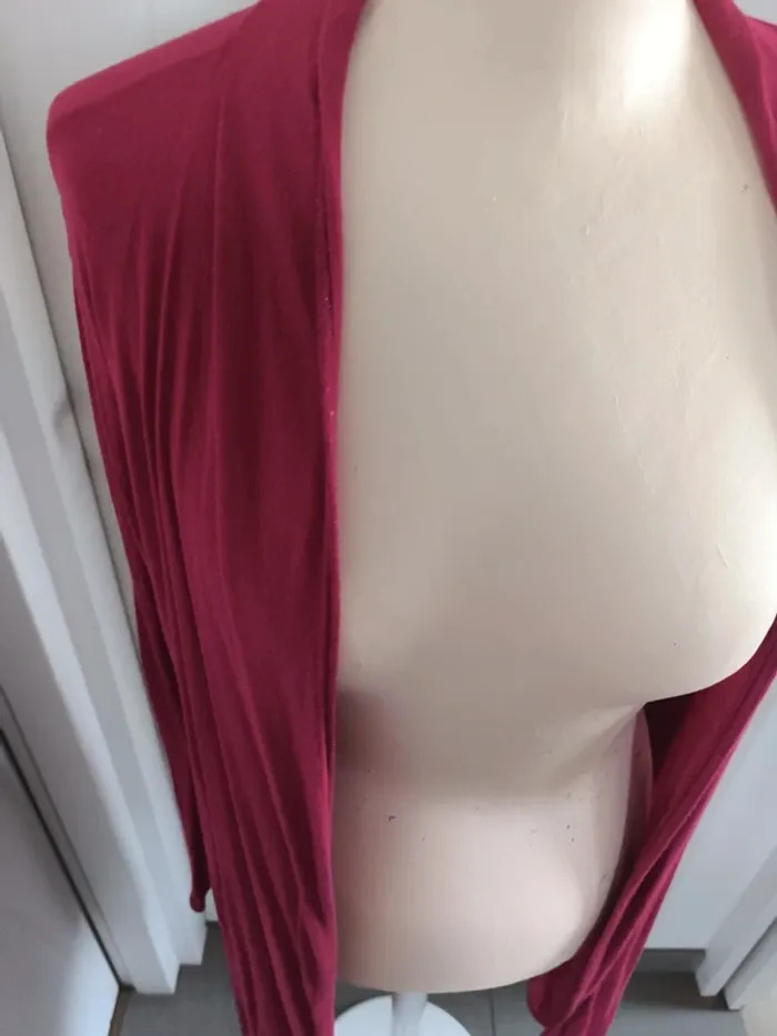 Gilet long femme 44 - photo numéro 4