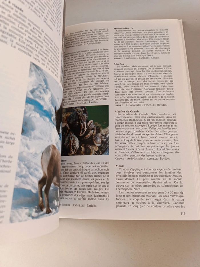La nouvelle encyclopédie des animaux France loisirs édition 1980 - photo numéro 11
