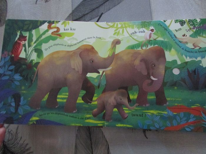 Livre musical Le Carnaval des animaux éditions Usborne - photo numéro 5