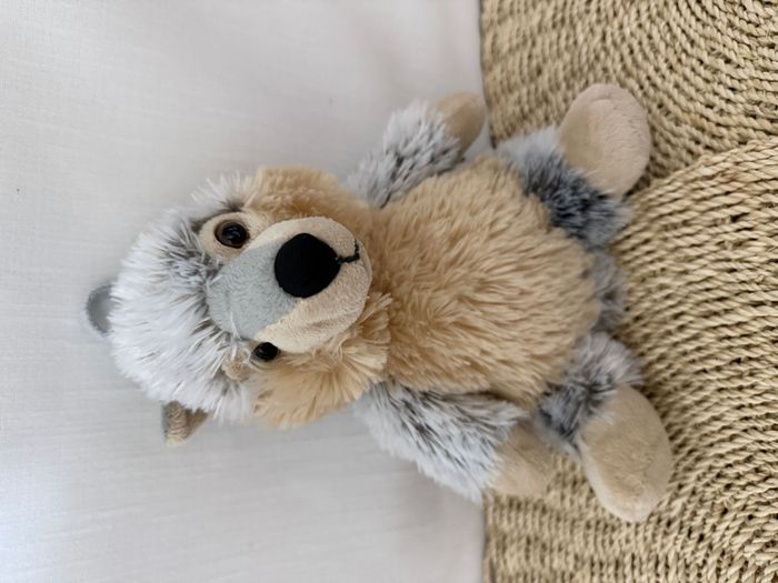 Doudou chien loup Husky Roda Rodadou