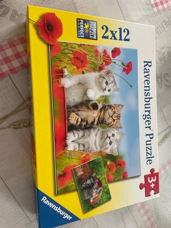 Lot de 4 puzzle