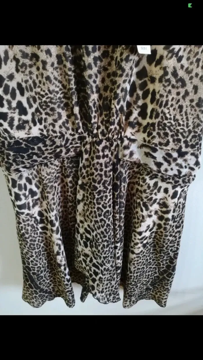 Jolie robe - photo numéro 6