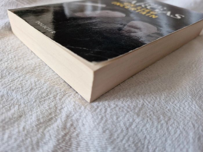 Livre Un lieu incertain de fred Vargas - photo numéro 4