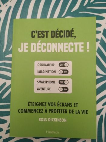 C'est décidée déconnecte!