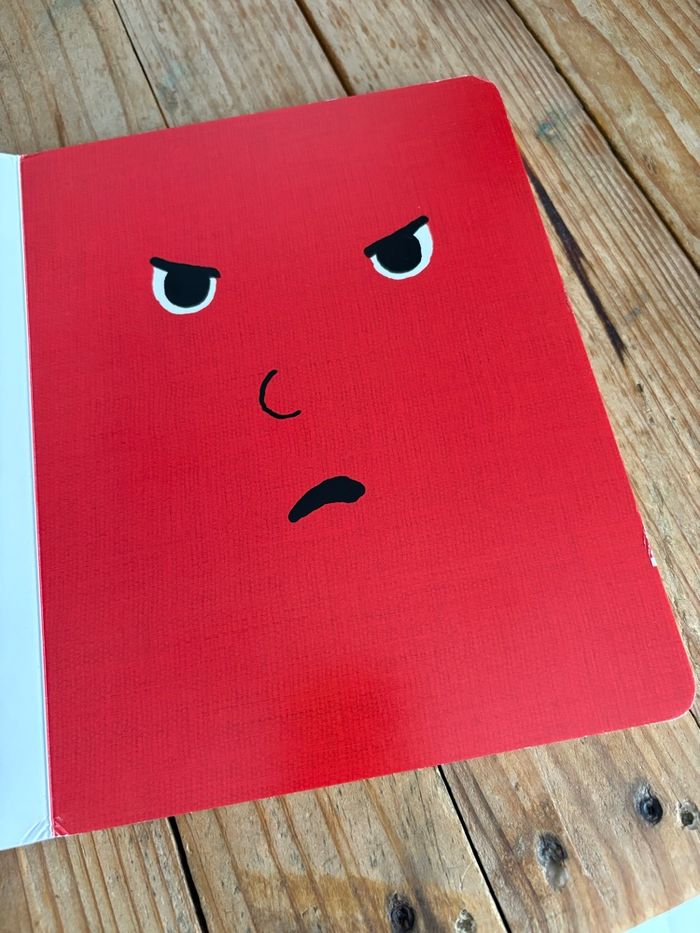 Livre de la colère - photo numéro 6