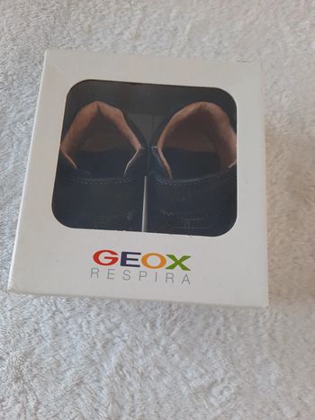 Chaussure T19 geox