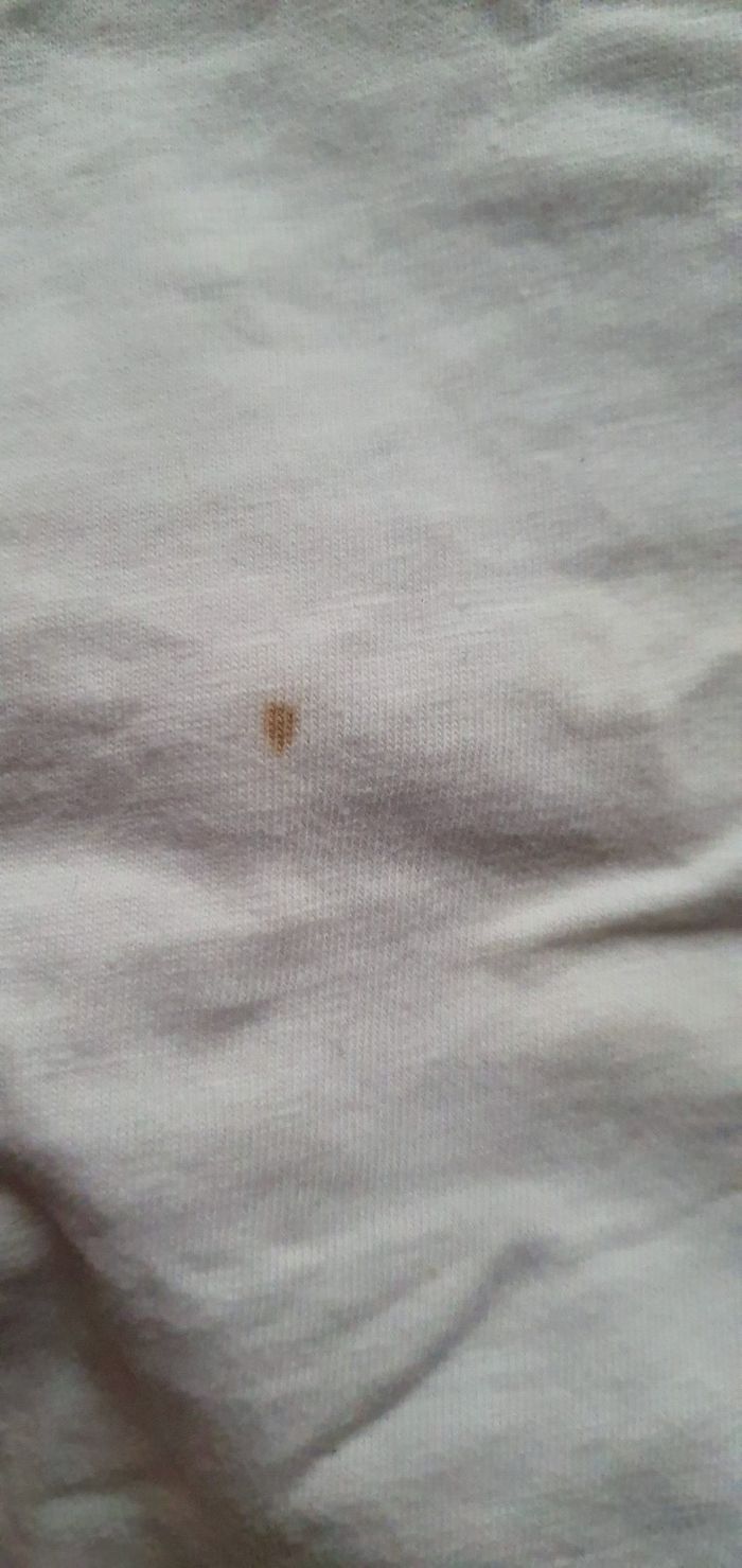 Tee shirt - photo numéro 4