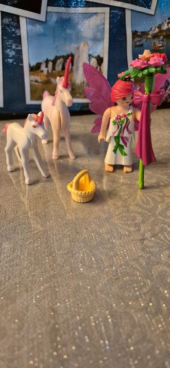 Playmobil fée et licornes