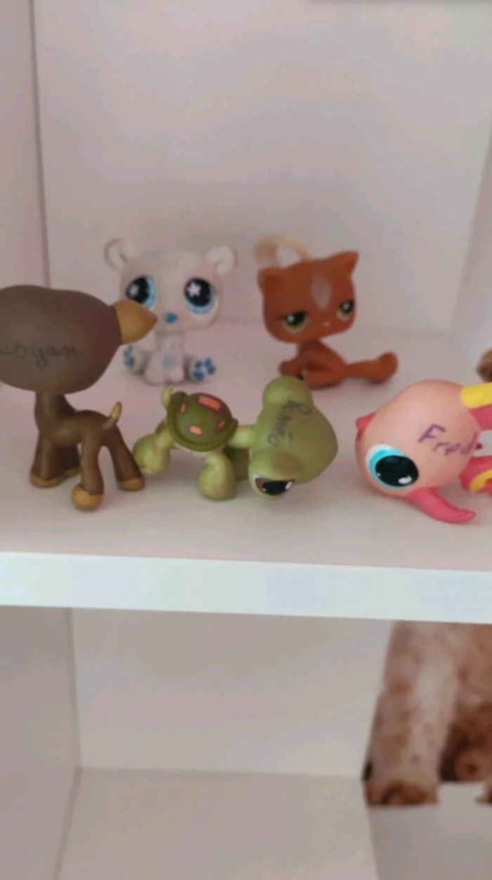 Lot de 5 Pet Shop originaux - photo numéro 4