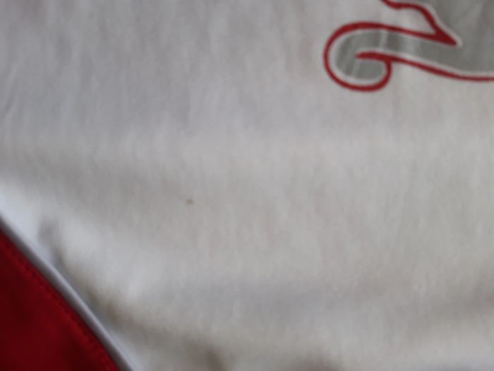 Tee shirt sport - photo numéro 3