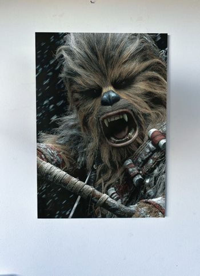 Poster métallique 30cm x 42cm Starwars Porte + aimant mural fourni. Ne
