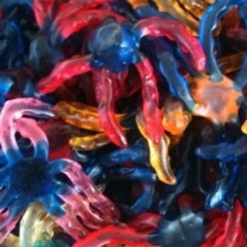 100g de pieuvre