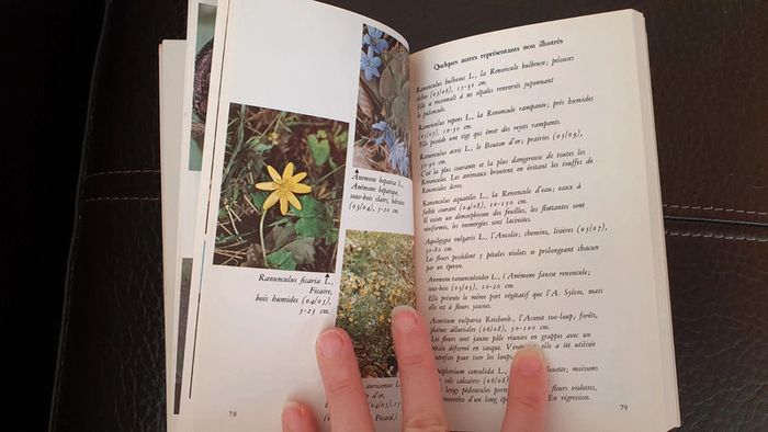 Livre " Je reconnais les fleurs, plaines et collines, de Michelle Lorrain. - photo numéro 10