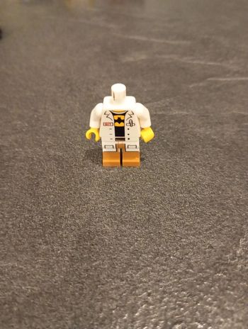 GPL tech,the lego Ninjago movie (minifigure only without stand and accessoires)