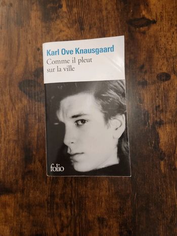 Livre : comme il pleut sur la ville