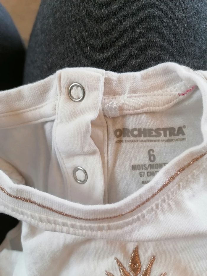 T-shirt manche courte - photo numéro 3