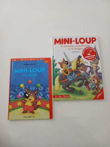 Lot 2 livres Mini-Loup - Philippe Matter (Hachette)