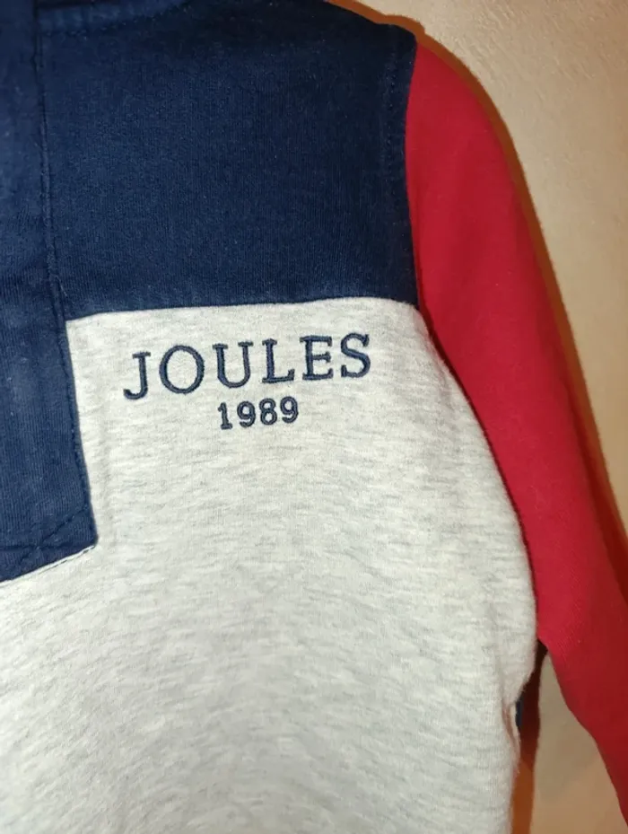 Joli sweat garçon Joules taille 4 ans - photo numéro 3