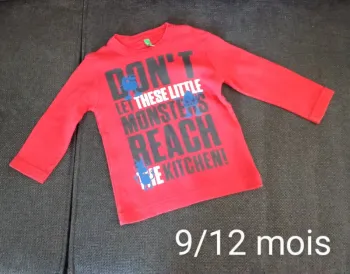 Teeshirt manches longues 9/12 mois