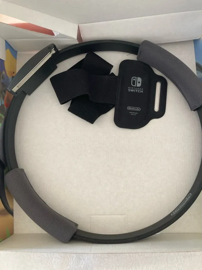 Jeu switch Ringfit Adventure - photo numéro 4