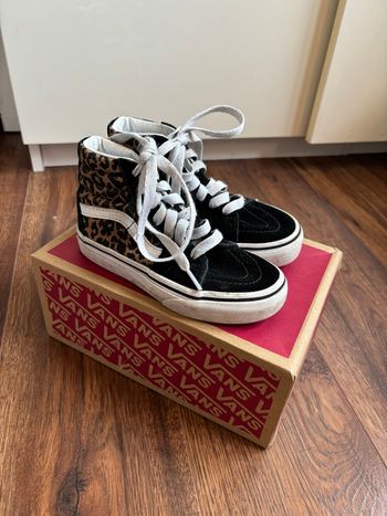 Basket Vans