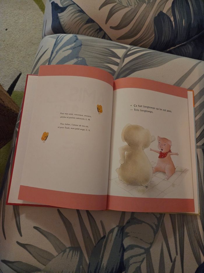 Livre amis pour la vie - photo numéro 3