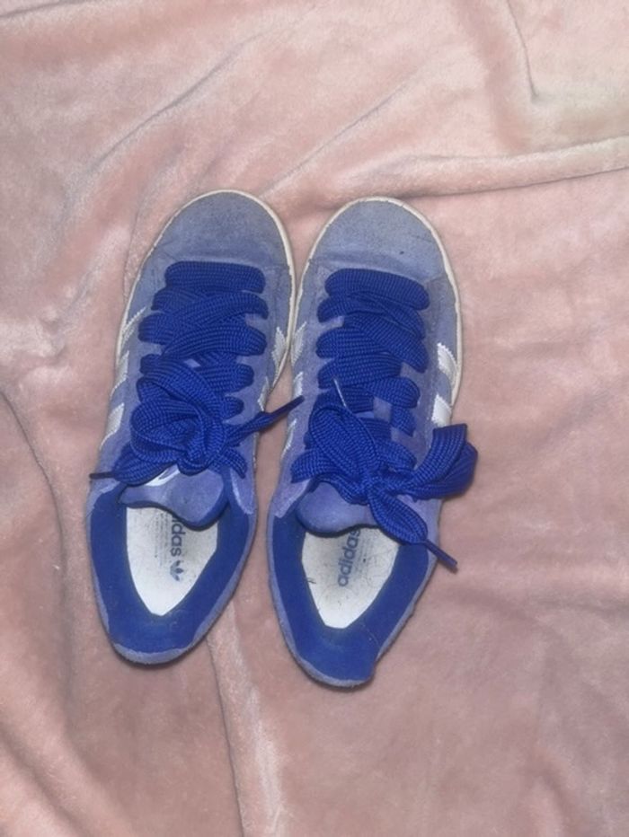 Campus bleu - photo numéro 2