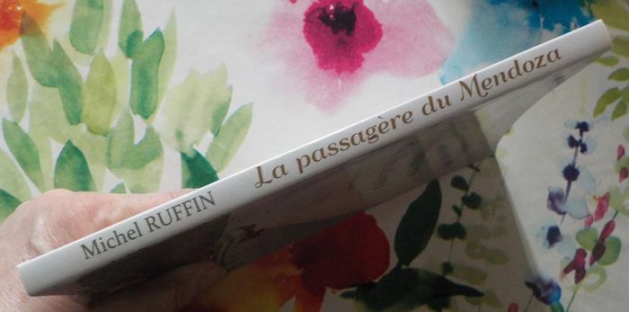La passagère du Mendoza de Michel Ruffin Ed. Beaurepaire - photo numéro 3