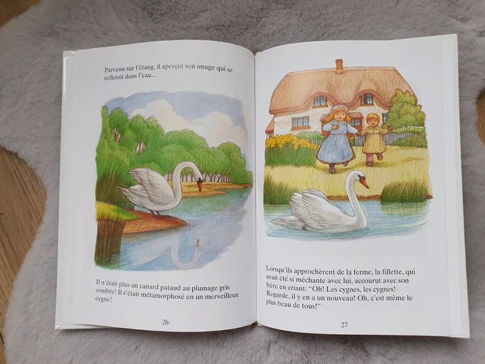 Livre Le Vilain petit canard - photo numéro 6