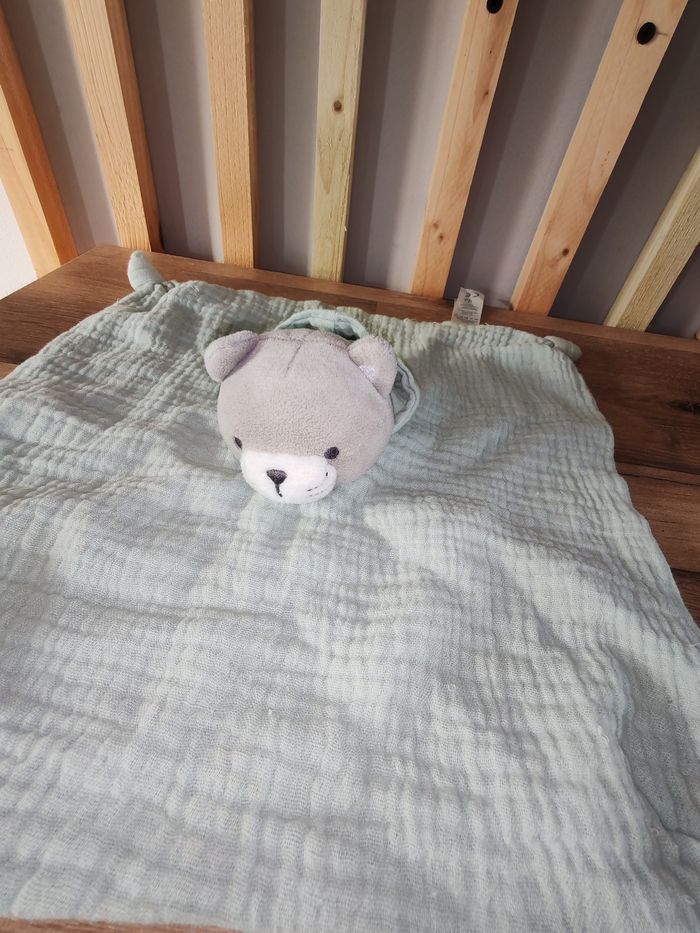 Lapin vert obaidi capuche - photo numéro 2