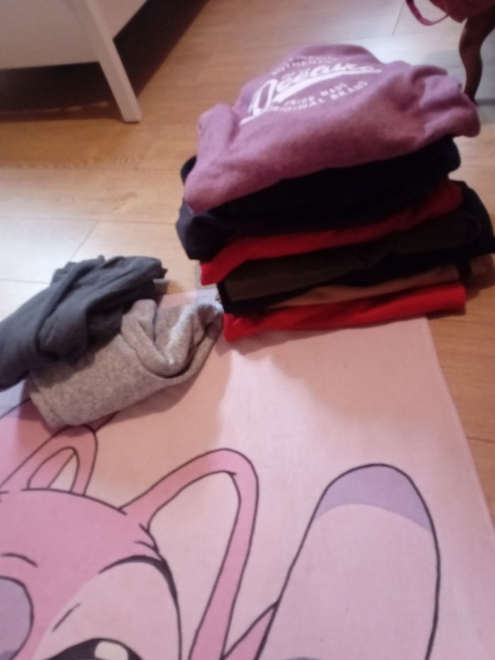 Pulls et 2 jogging 14 ans garcons