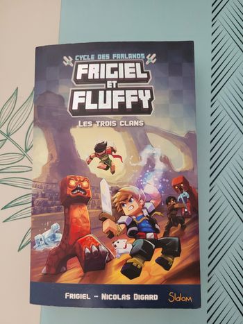livre frigiel et fluffy les 3 clans  (6e)