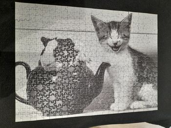 Puzzle chat souris 500 pièces