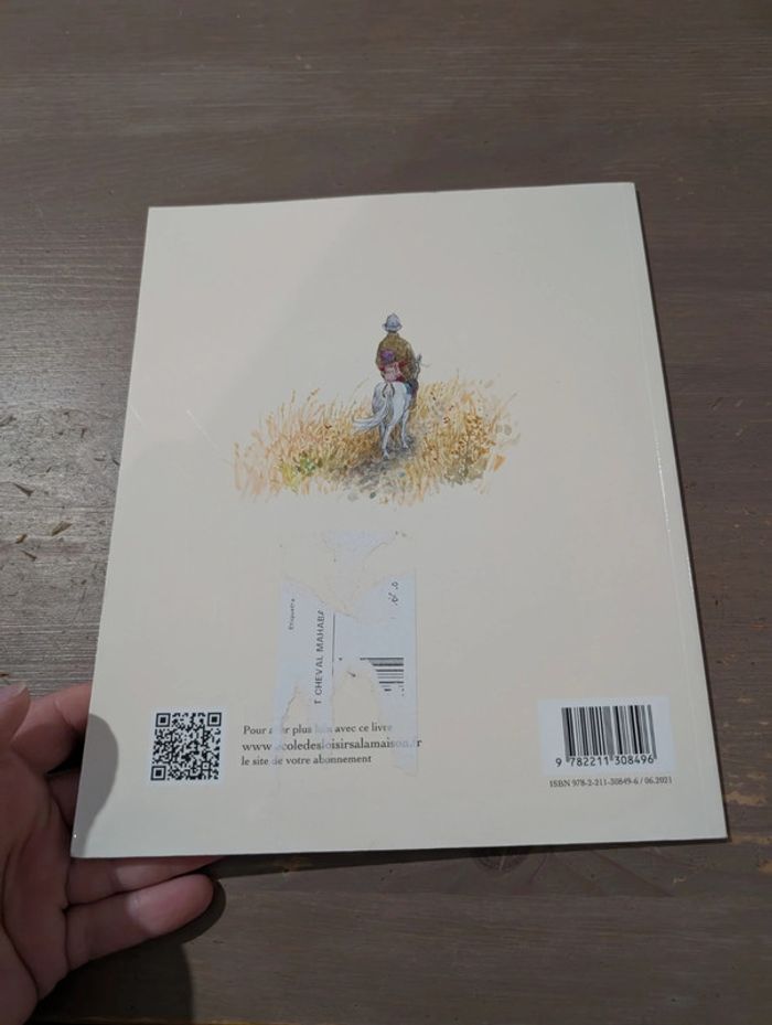 Mon petit cheval Mahabat - photo numéro 3
