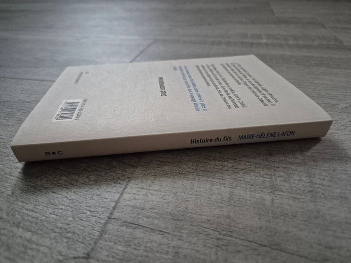 Livre Histoire du fils de Marie-Hélène Lafon - photo numéro 5