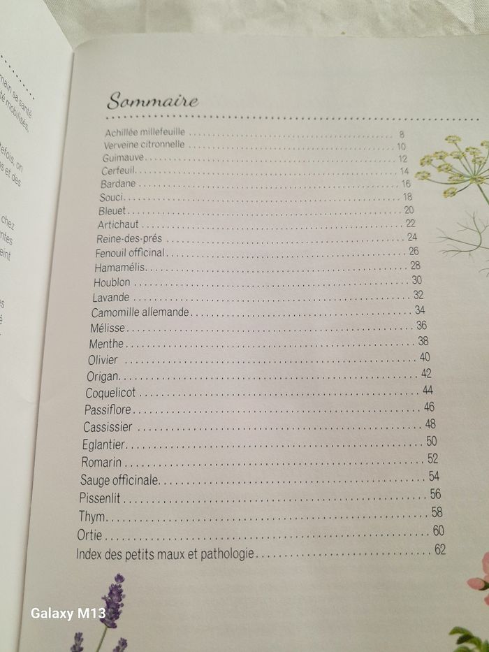 Mon jardin de santé Cultivez vos plantes médicinales Serge Scholl - photo numéro 4