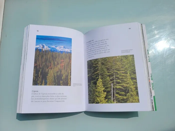 Shinrin Yoku, L'art et la science du bain de forêt, Dr Qing Li, Grand format - photo numéro 5