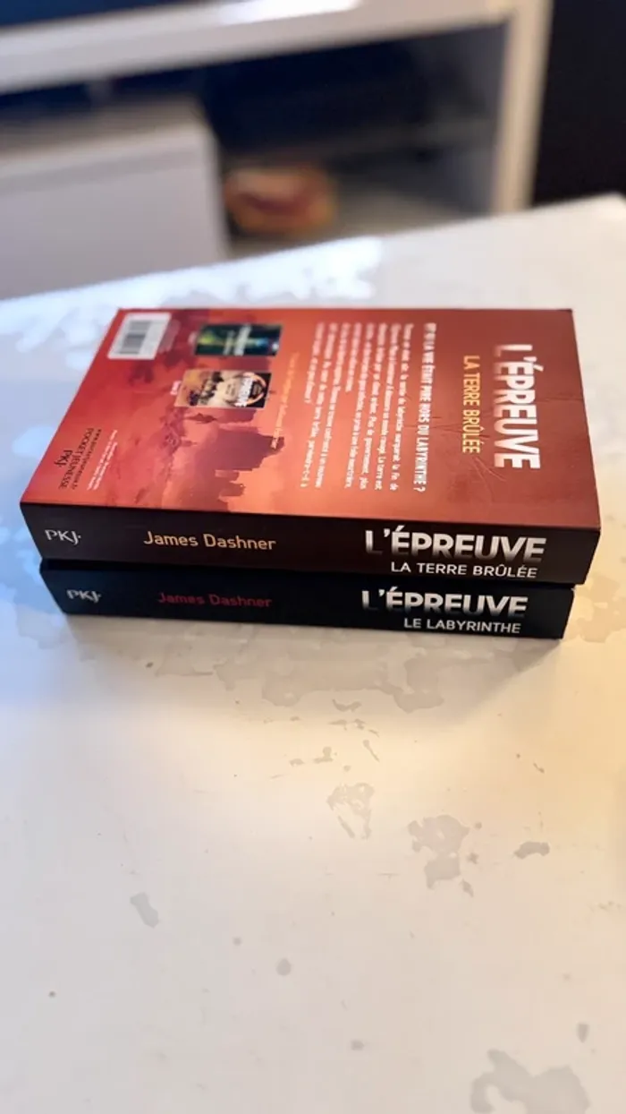 📚 Lot 2 livres – L’Épreuve de James Dashner Tome 1 : Le Labyrinthe Tome 2 : La Terre Brûlée - photo numéro 7